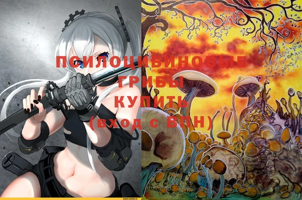 соль ск Барнаул