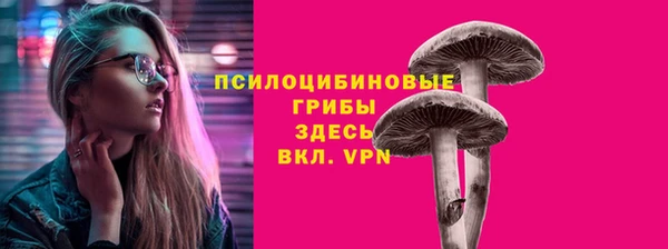 соль ск Барнаул