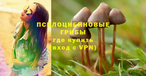 сатива Ижевск