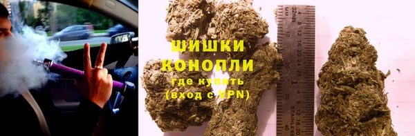 сатива Ижевск